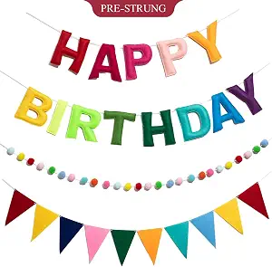 Pre-Strung Felt Happy Birthday Banner Set | 3D Happy Birthday Decorations with Pom Pom Garland & Triangle Bunting, Colorful Reusable Birthday Party Banner-Rainbow
